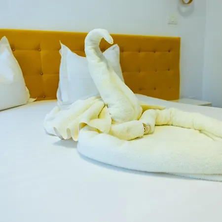 Hotel & Medspa Siret 3*