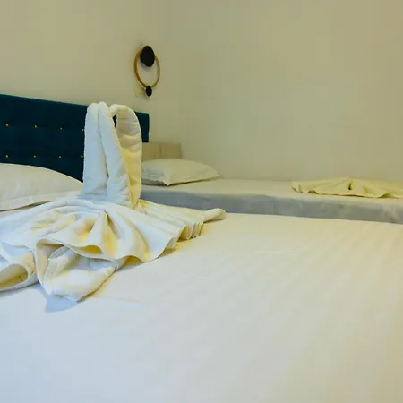 酒店 & Medspa Siret 马马亚
